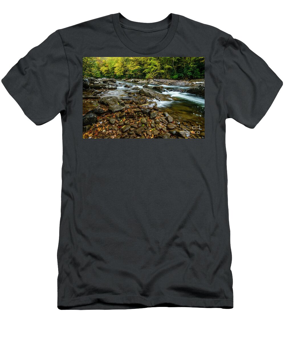 Cranberry River T-Shirt featuring the photograph October Morning on Cranberry River by Thomas R Fletcher