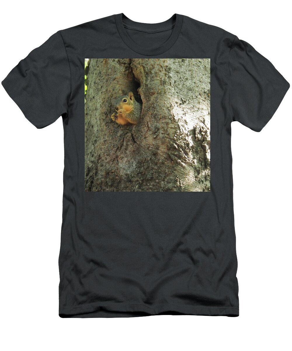 Squirrel T-Shirt featuring the photograph Oh my Who Are You by C Winslow Shafer