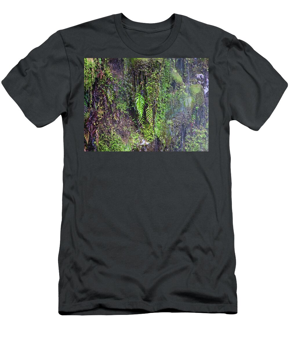 Nz T-Shirt featuring the photograph Okarito Beach, New Zealand, Waterfall 5 by Steven Ralser