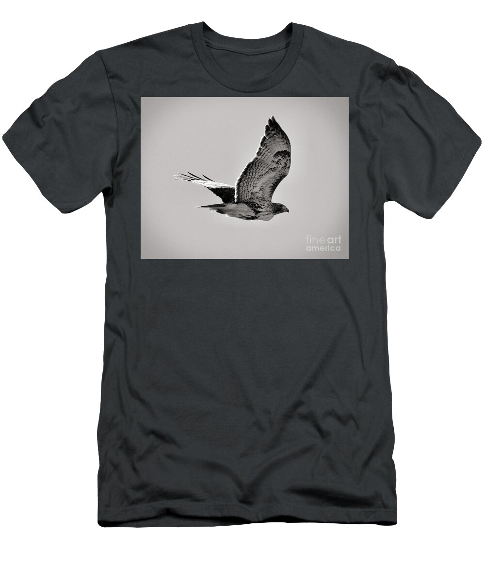 Oklahoma T-Shirt featuring the photograph Oklahoma Hawk by Anita Streich