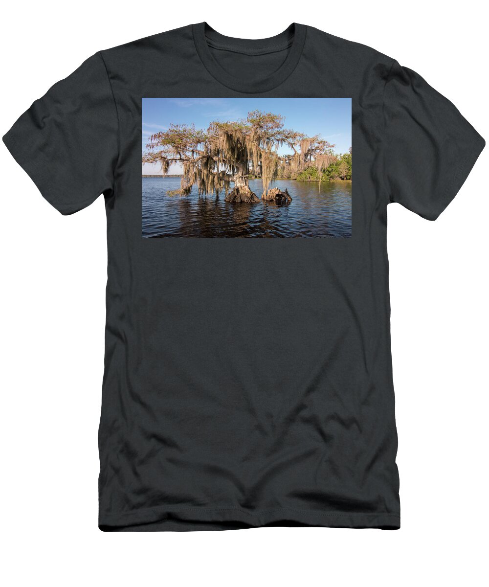 Old Cypress Tree T-Shirt featuring the photograph Old Cypress Tree by Dorothy Cunningham
