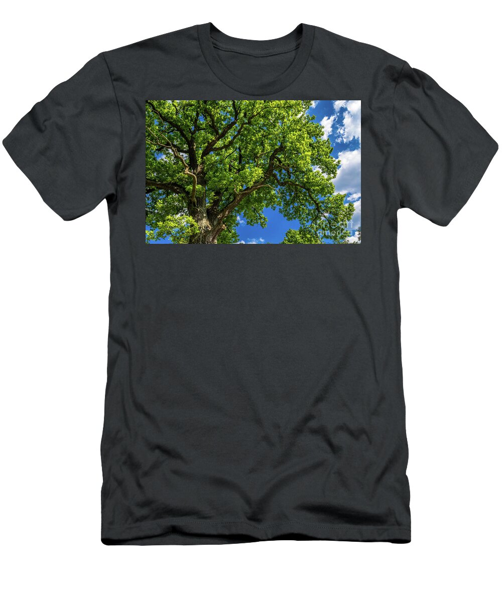Oak T-Shirt featuring the photograph Old Oak Tree With Green Leaves And Blue Sky by Andreas Berthold