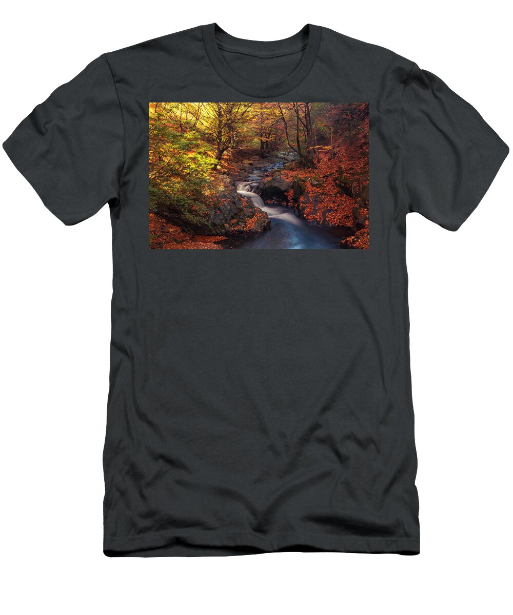 Mountain T-Shirt featuring the photograph Old River by Evgeni Dinev