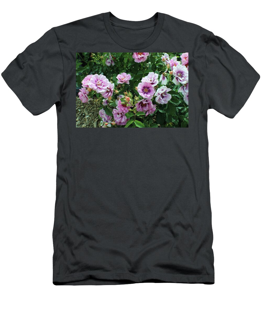 Ombre T-Shirt featuring the photograph Ombre Flower Joy by Kenneth Pope
