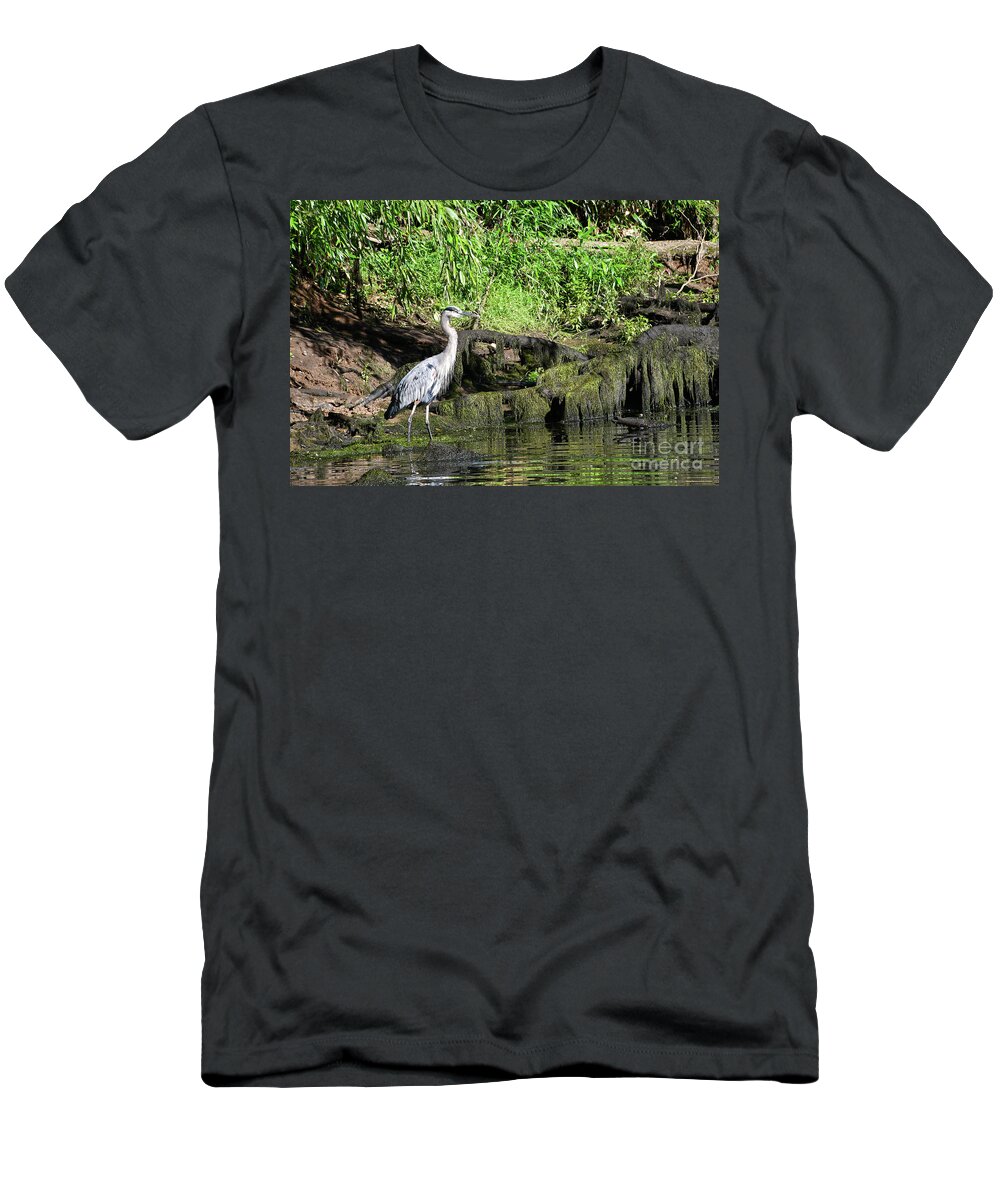 Norris Dam State Park T-Shirt featuring the photograph On The Road 4 by Phil Perkins