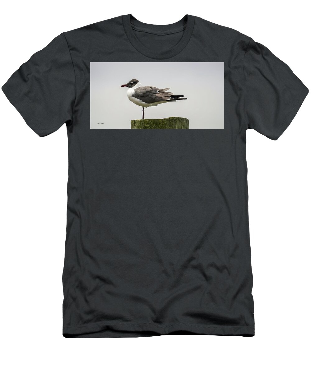 Seagull T-Shirt featuring the photograph One Leg Up by Dale R Carlson