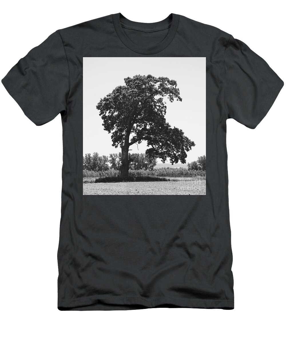 The Beauty Of Trees T-Shirt featuring the photograph One Tall Huge Tree by fototaker Tony