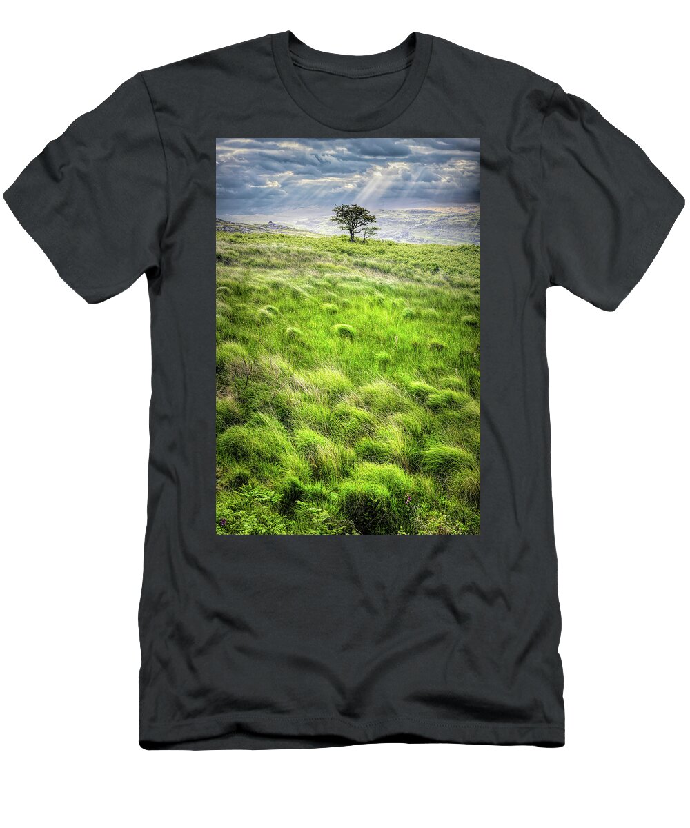 Clouds T-Shirt featuring the photograph One Tree in the Irish Mist by Debra and Dave Vanderlaan