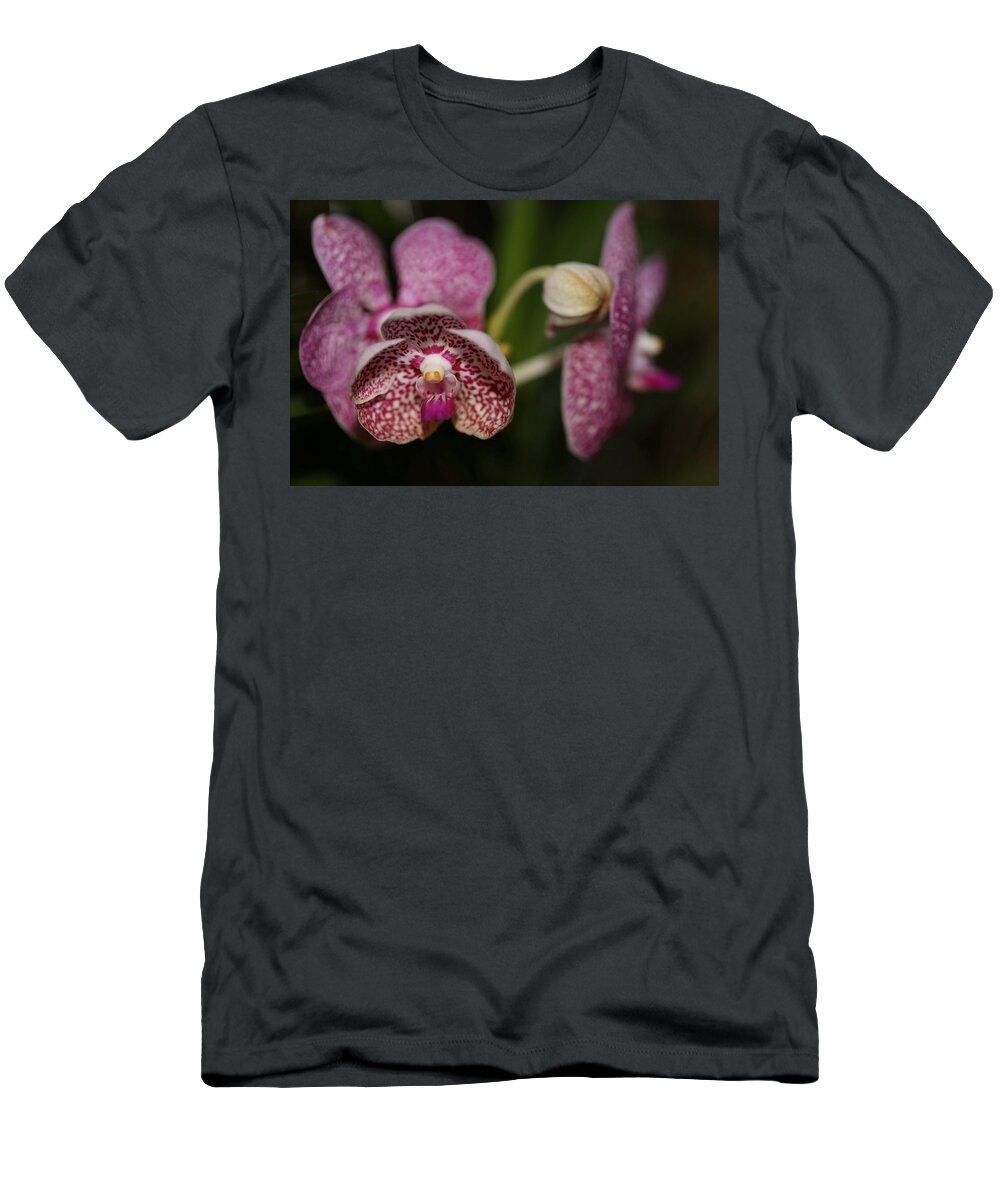Orchid T-Shirt featuring the photograph Orchids by Mingming Jiang