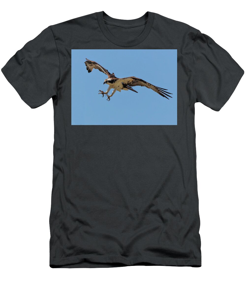 Ospray Bird T-Shirt featuring the photograph Ospray3a by John Linnemeyer