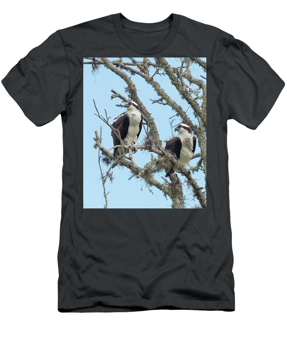 Osprey T-Shirt featuring the photograph Osprey Couple by Gina Fitzhugh