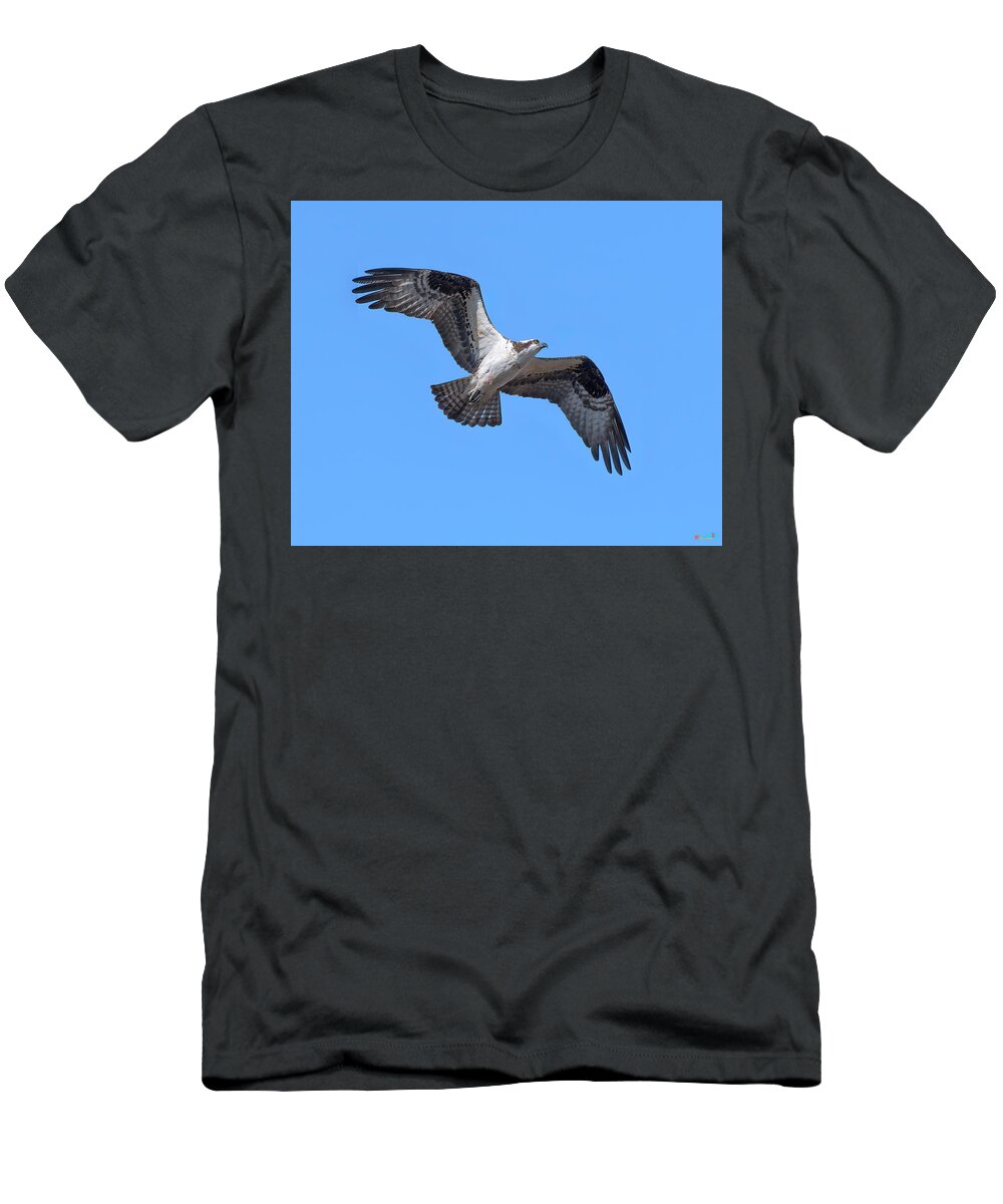 Nature T-Shirt featuring the photograph Osprey in Flight DRB0282 by Gerry Gantt