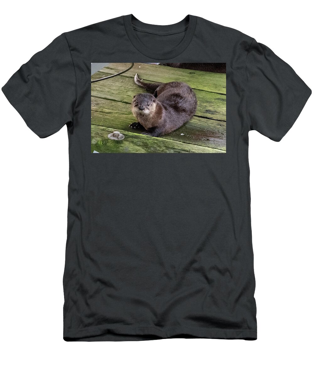 Otter T-Shirt featuring the photograph Otter takes a break by Stephen Sloan