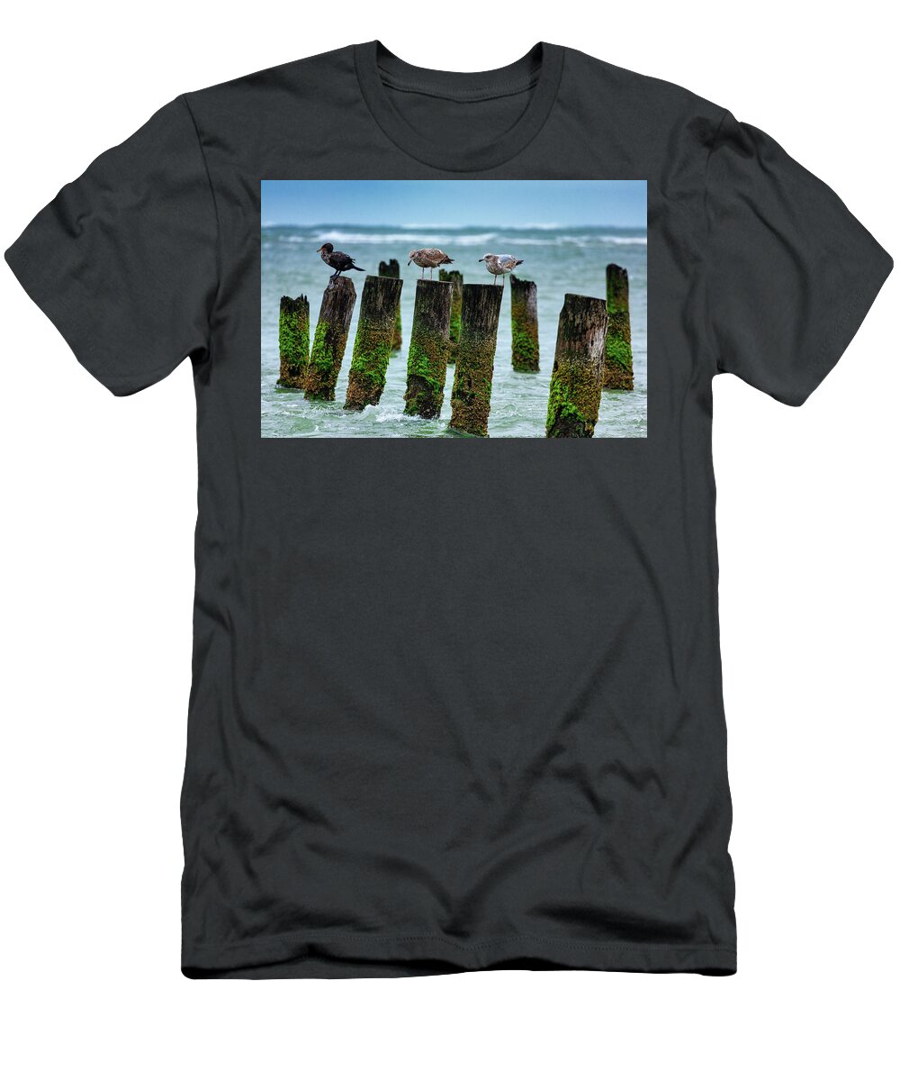 North Carolina T-Shirt featuring the photograph Outer Banks Birds Taking a Break by Dan Carmichael