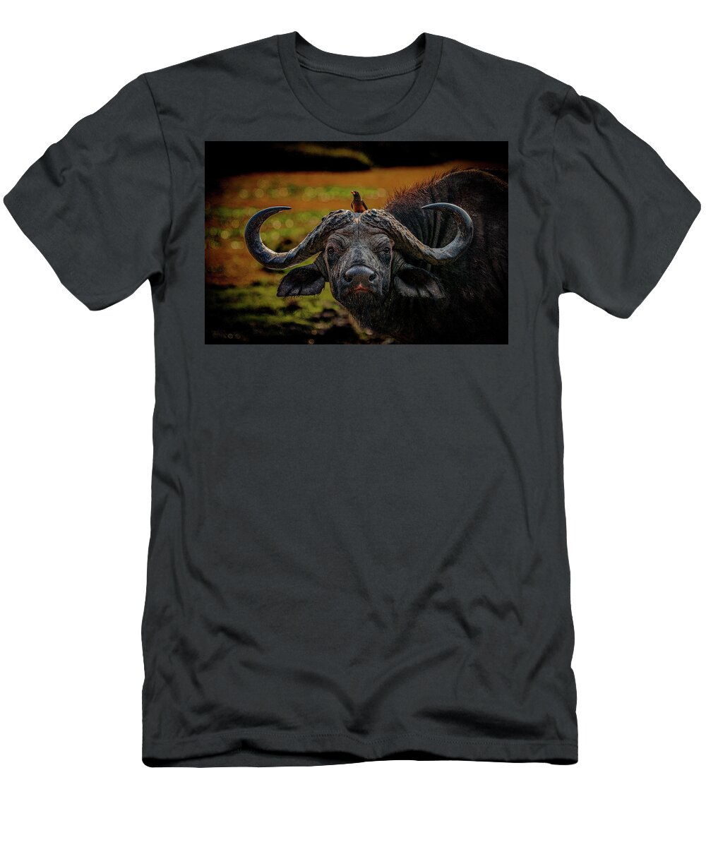 Cape Buffalo T-Shirt featuring the photograph Ox Pecker by Darcy Dietrich