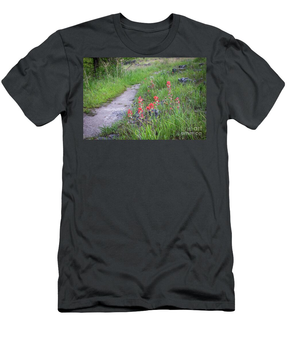 Paint T-Shirt featuring the photograph Paint Brush Trail by Dennis Hedberg