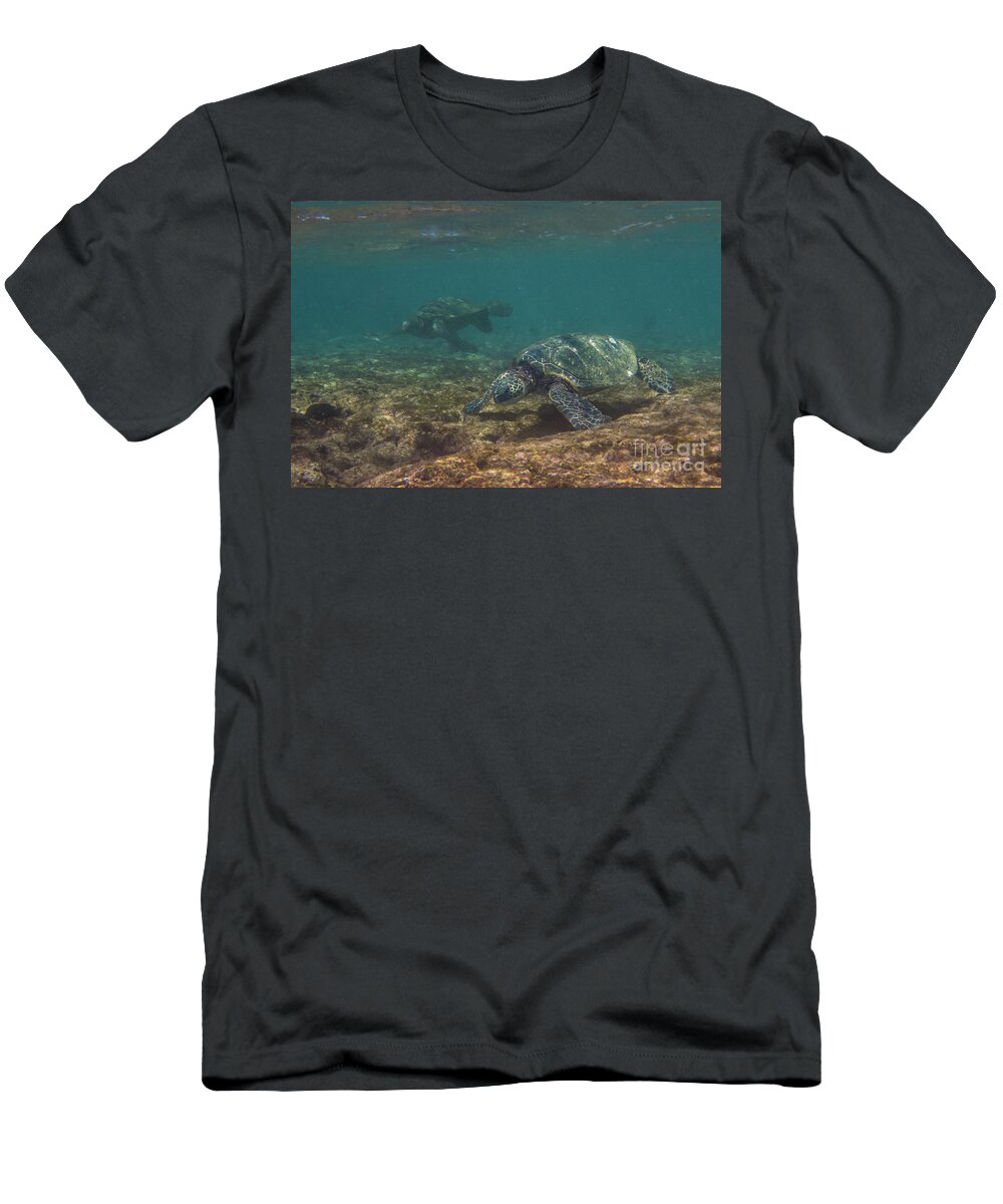 Chelonia Mydas T-Shirt featuring the photograph Pair of Sea Turtles in a Kauai Reef by Nancy Gleason