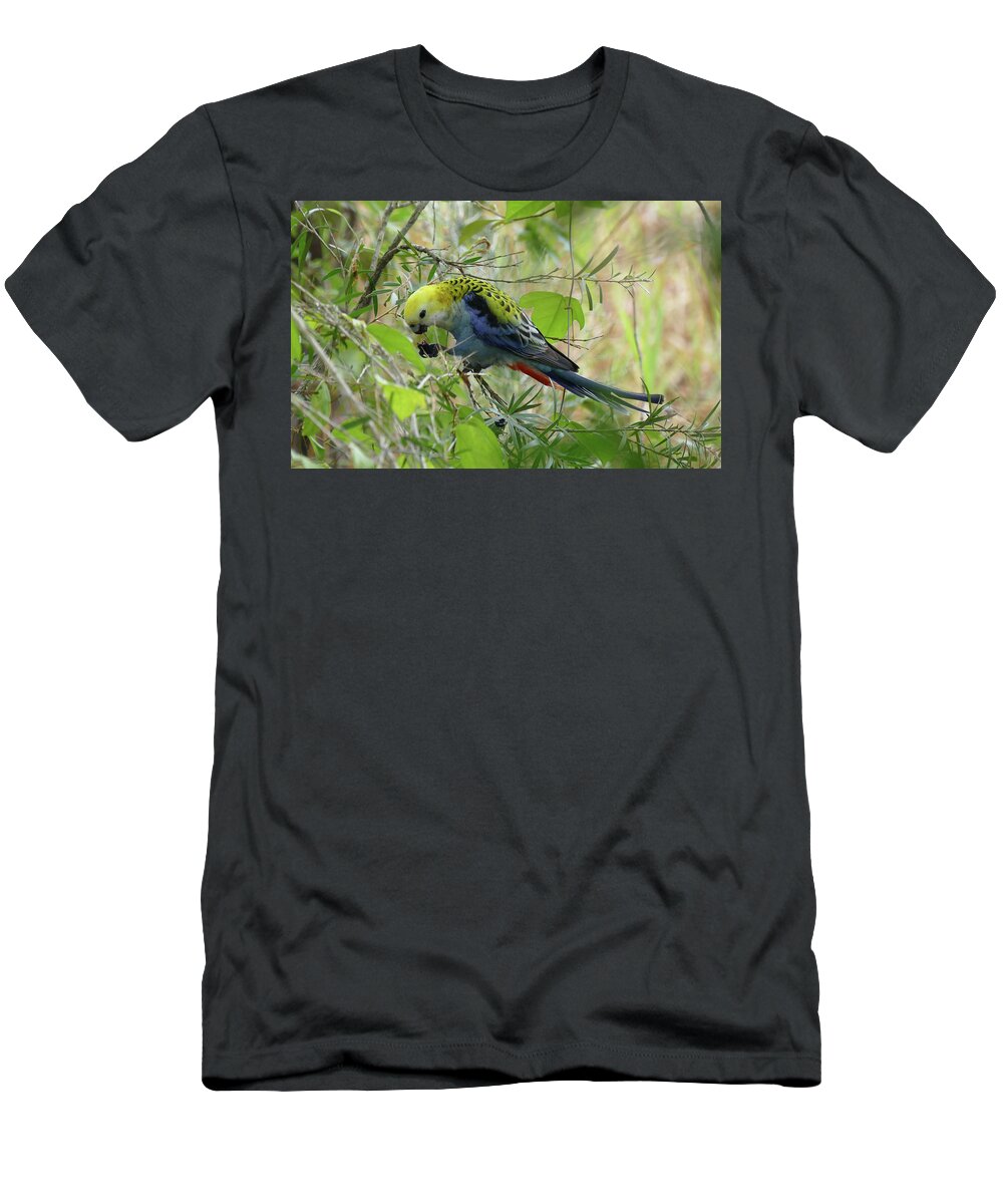 Birds T-Shirt featuring the photograph Pale Headed Rosella Feeding 2 by Maryse Jansen