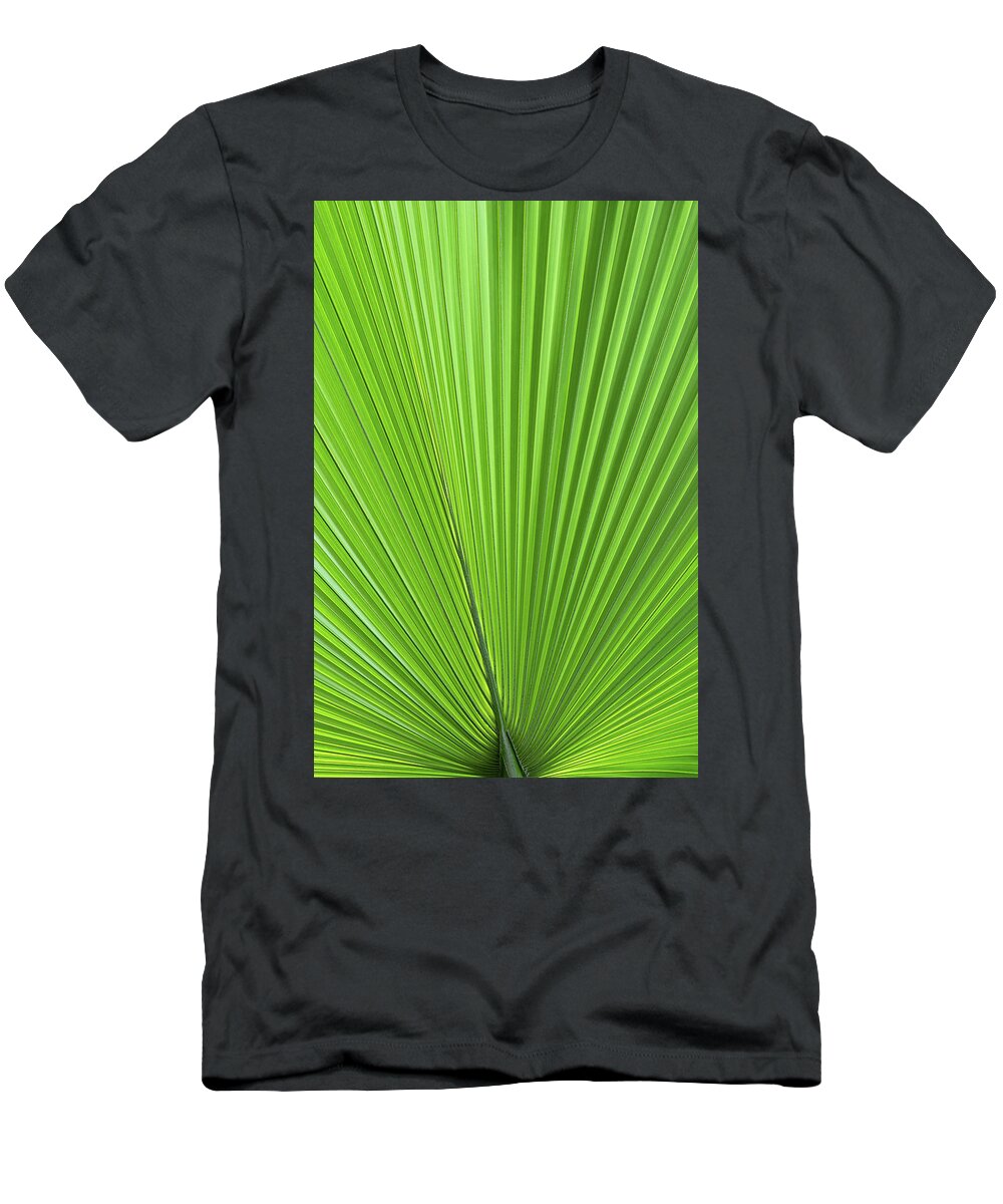 Palm T-Shirt featuring the photograph Palm Tree Green Leaf Natural Pattern by Artur Bogacki