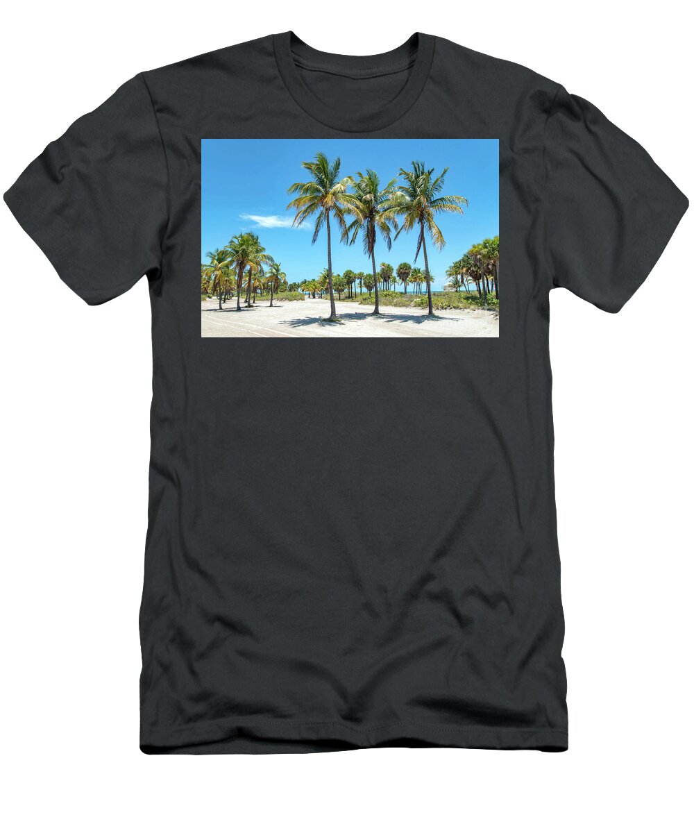 Palm T-Shirt featuring the photograph Palm Trees at Crandon Park Beach in Key Biscayne Florida by Beachtown Views