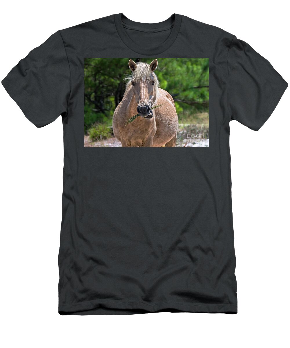 Horse T-Shirt featuring the photograph Palomino horse by Rehna George