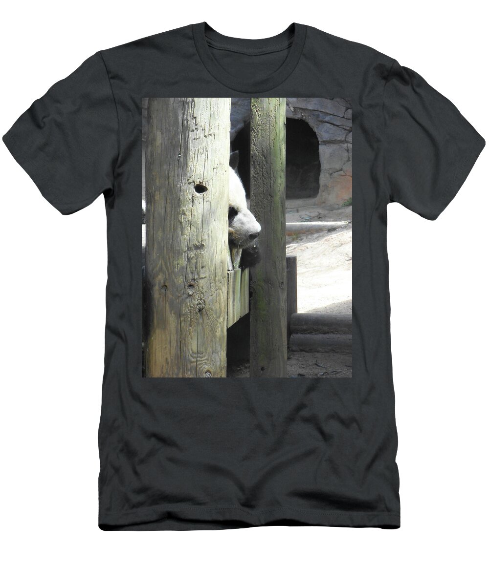 Panda T-Shirt featuring the photograph Panda Nap by Heather E Harman