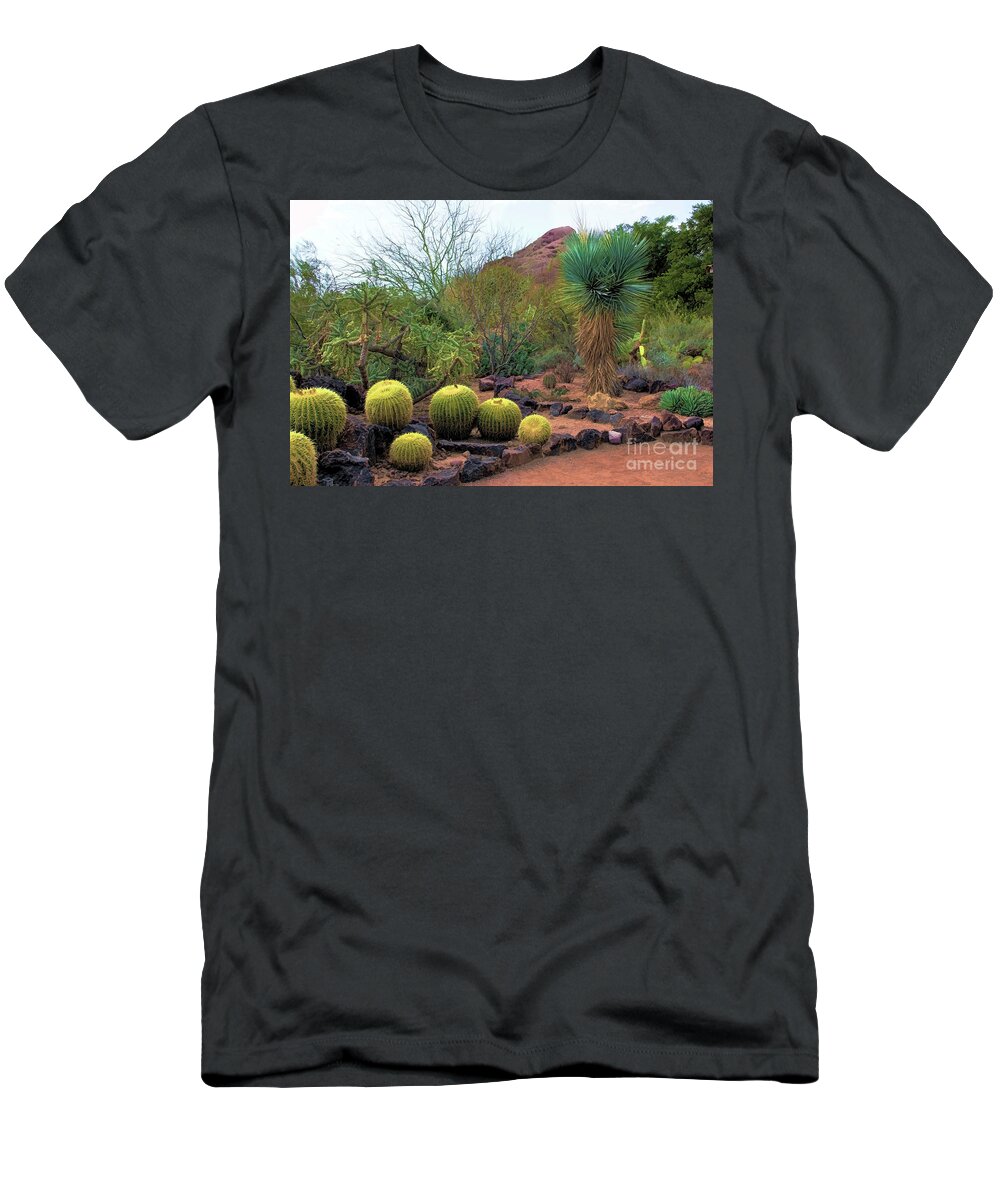 Jon Burch T-Shirt featuring the photograph Papago and Barrels by Jon Burch Photography