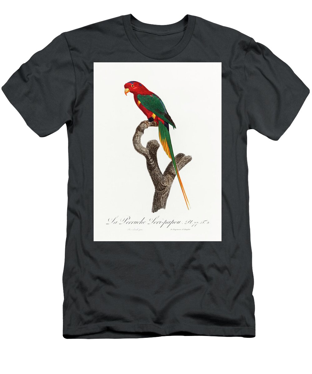 Animal T-Shirt featuring the painting Papuan Lorikeet from Natural History of Parrots by MotionAge Designs