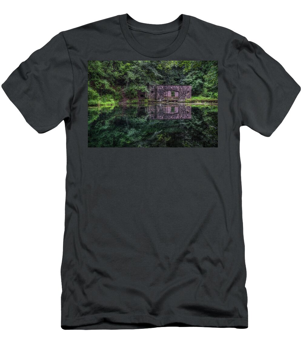 Paradise Springs T-Shirt featuring the photograph Paradise Reflections by Brad Bellisle