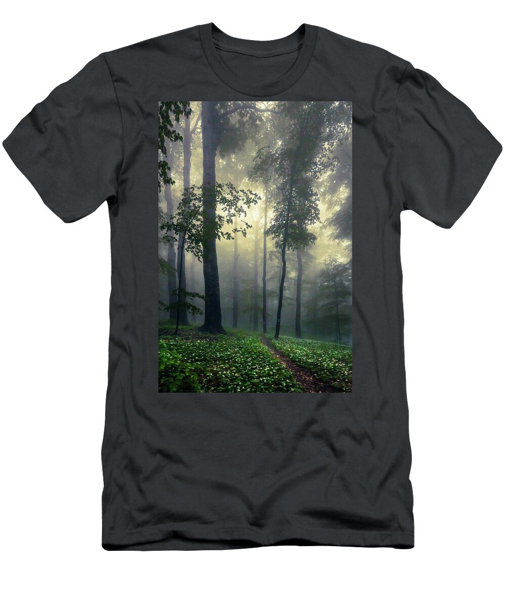 Balkan Mountains T-Shirt featuring the photograph Path In the Mist by Evgeni Dinev