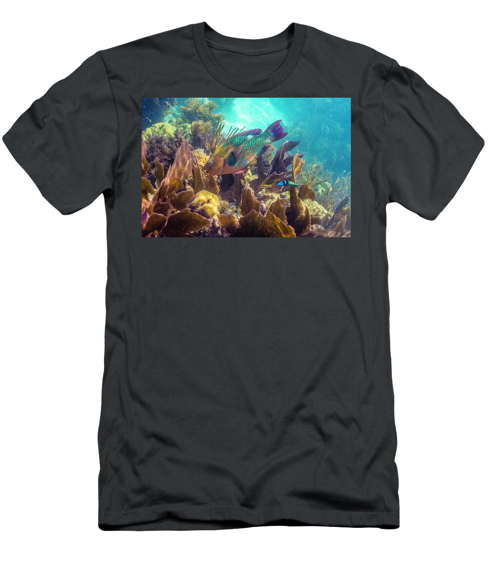 Animals T-Shirt featuring the photograph Path to Atlantis by Lynne Browne