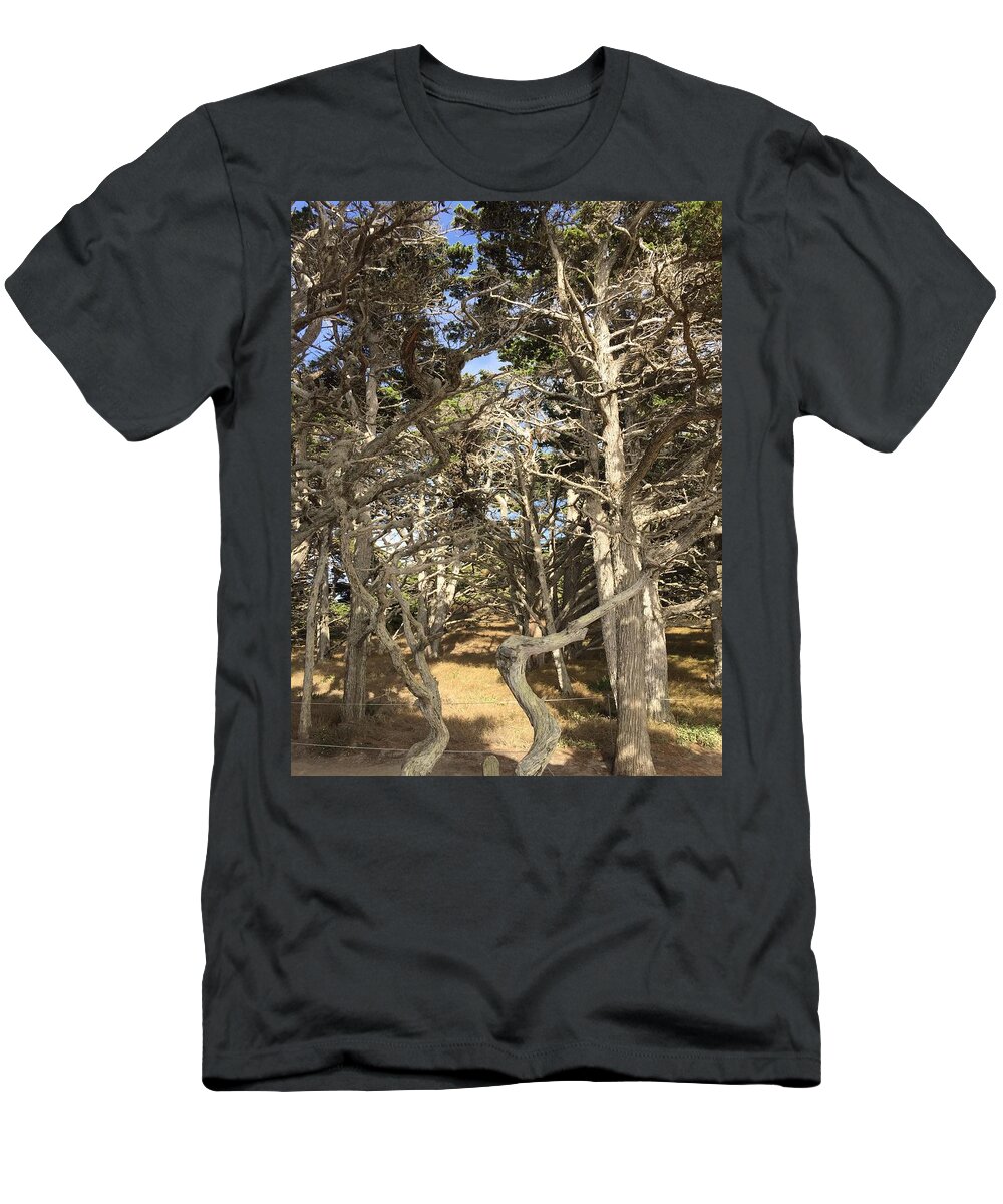 Carmel By The Sea T-Shirt featuring the photograph Pathway through the trees Point Lobos by Luisa Millicent