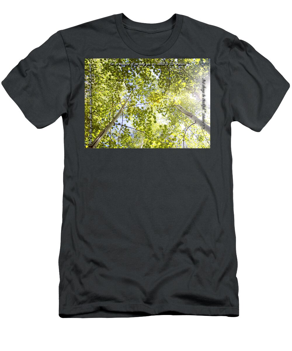 Christian T-Shirt featuring the photograph Peace And Thankfulness Among Aspens by Lincoln Rogers