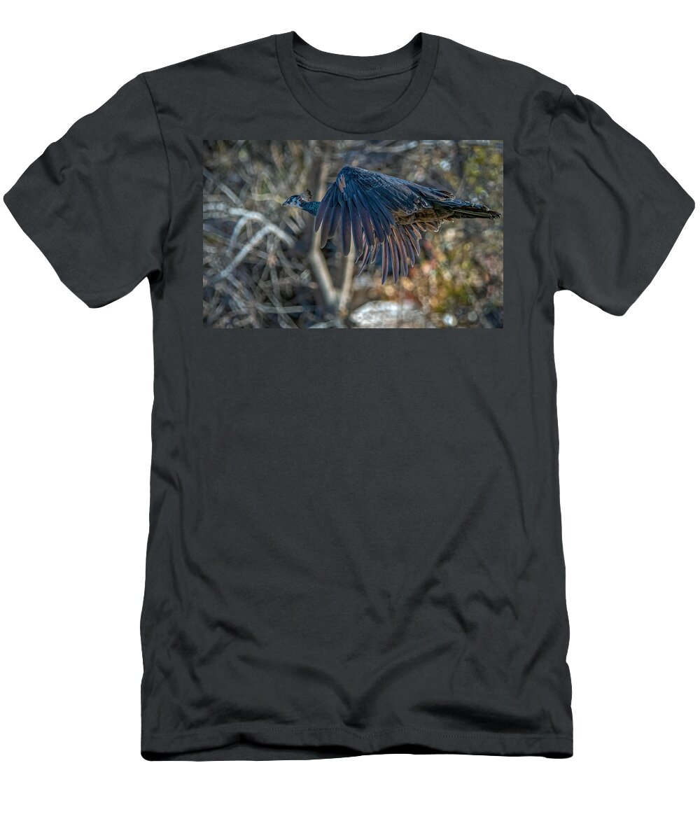 Peacock T-Shirt featuring the photograph Peacock in flight by Rick Mosher