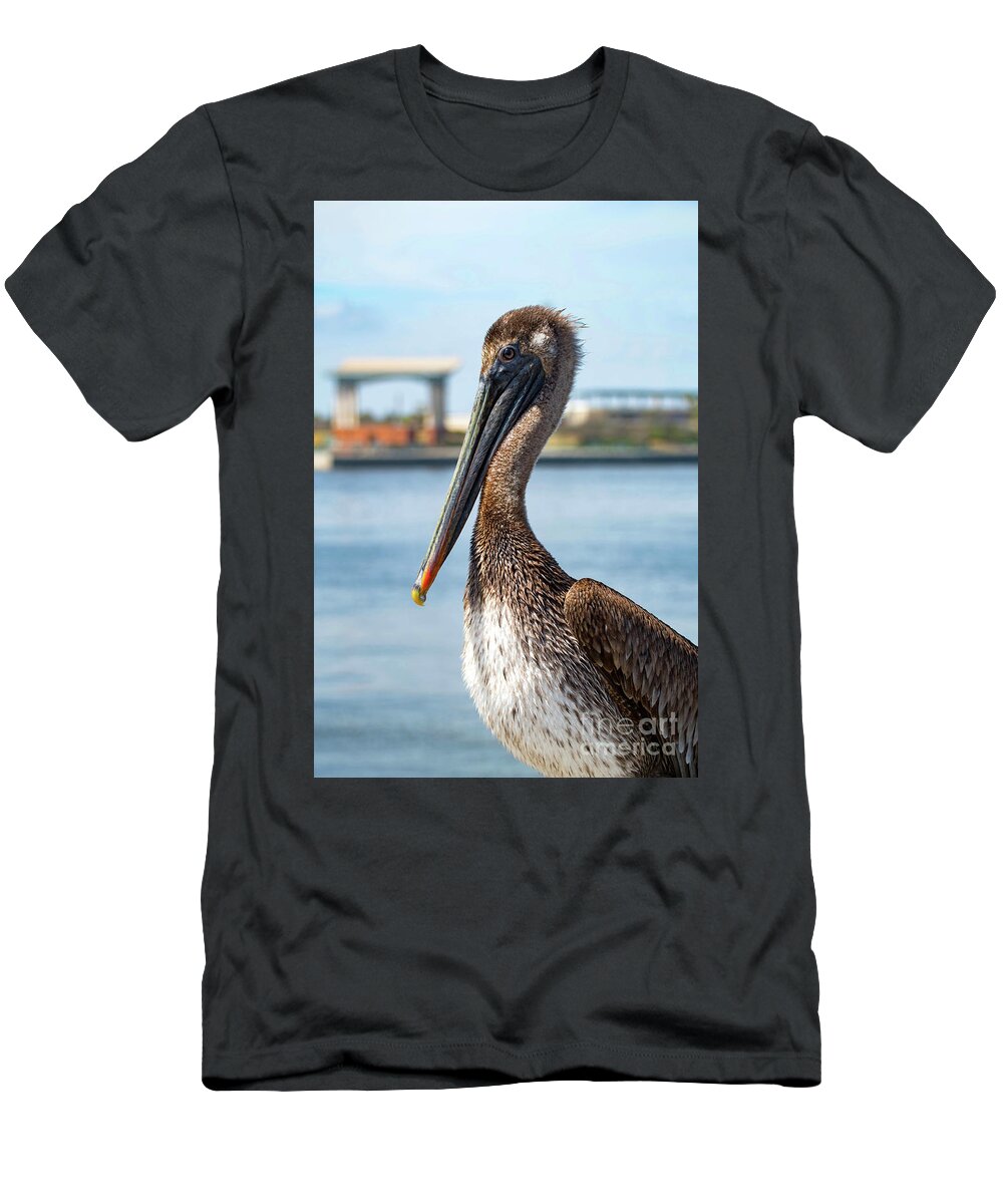 Pelican T-Shirt featuring the photograph Pelican in Downtown Pensacola, Florida by Beachtown Views