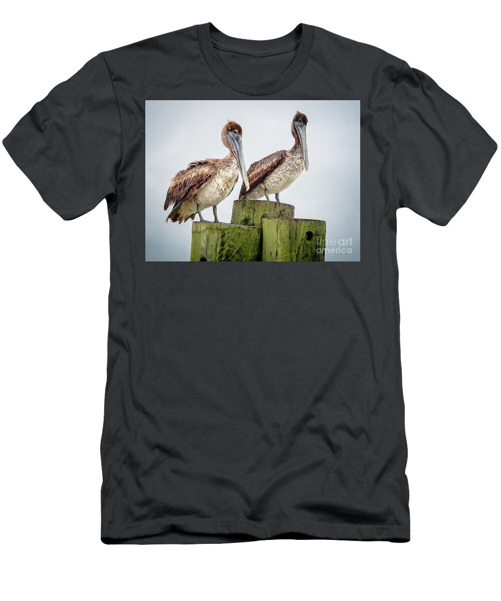 Pelicans T-Shirt featuring the photograph Pelican Love by Scott and Dixie Wiley