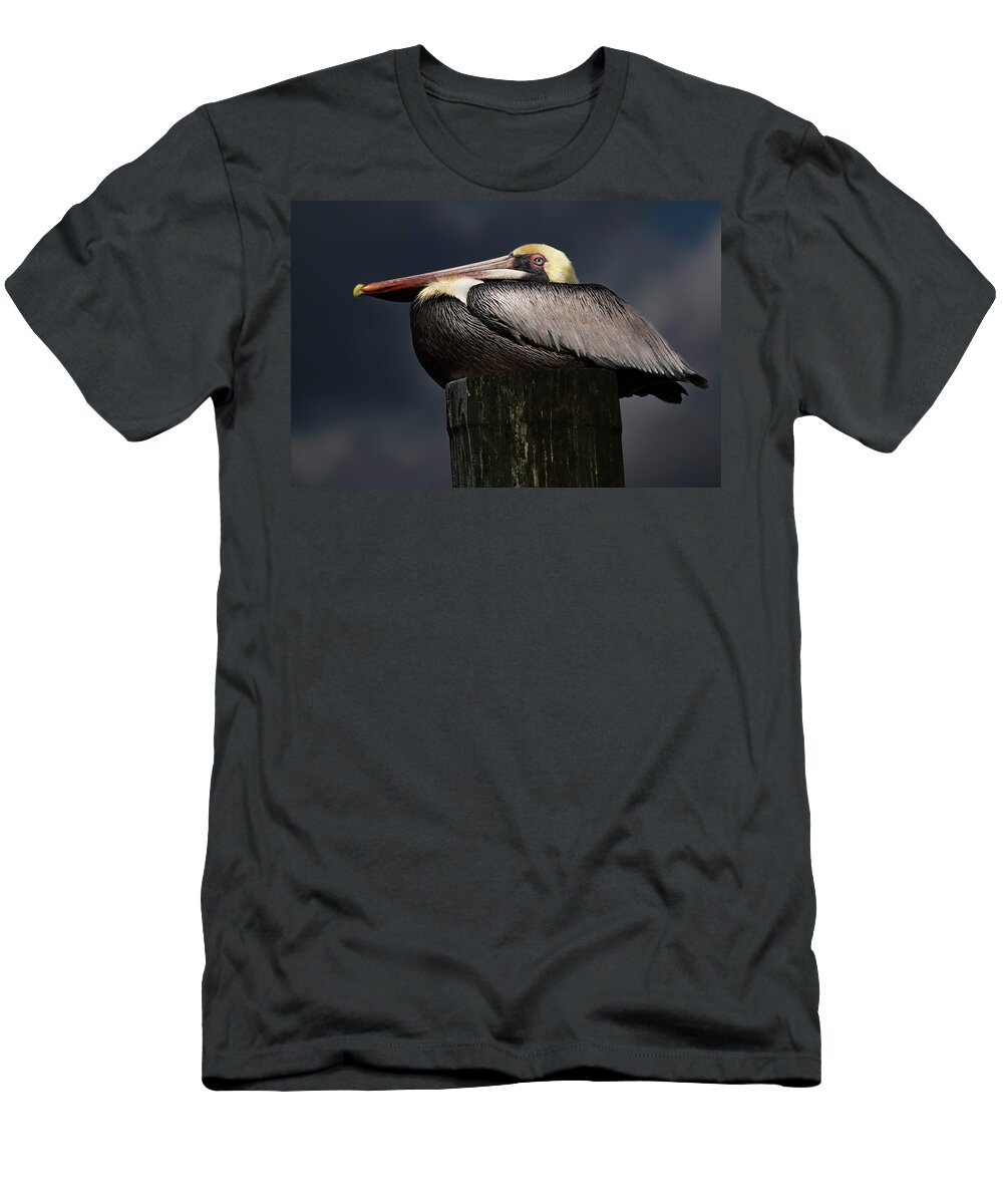 Birds T-Shirt featuring the photograph Pelican on a Pole by Larry Marshall
