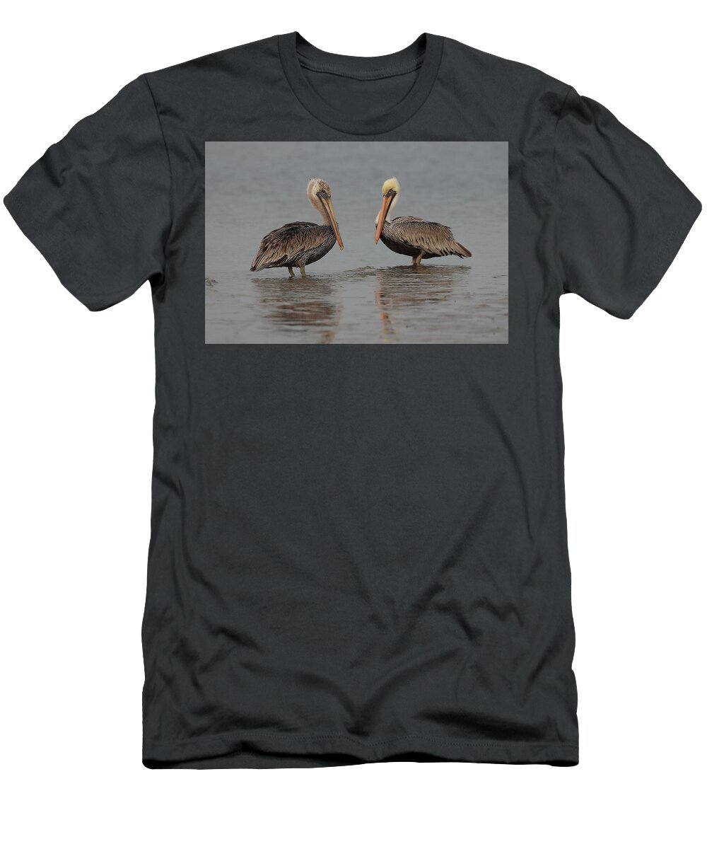 Pelicans T-Shirt featuring the photograph Pelican Buddies by Mingming Jiang