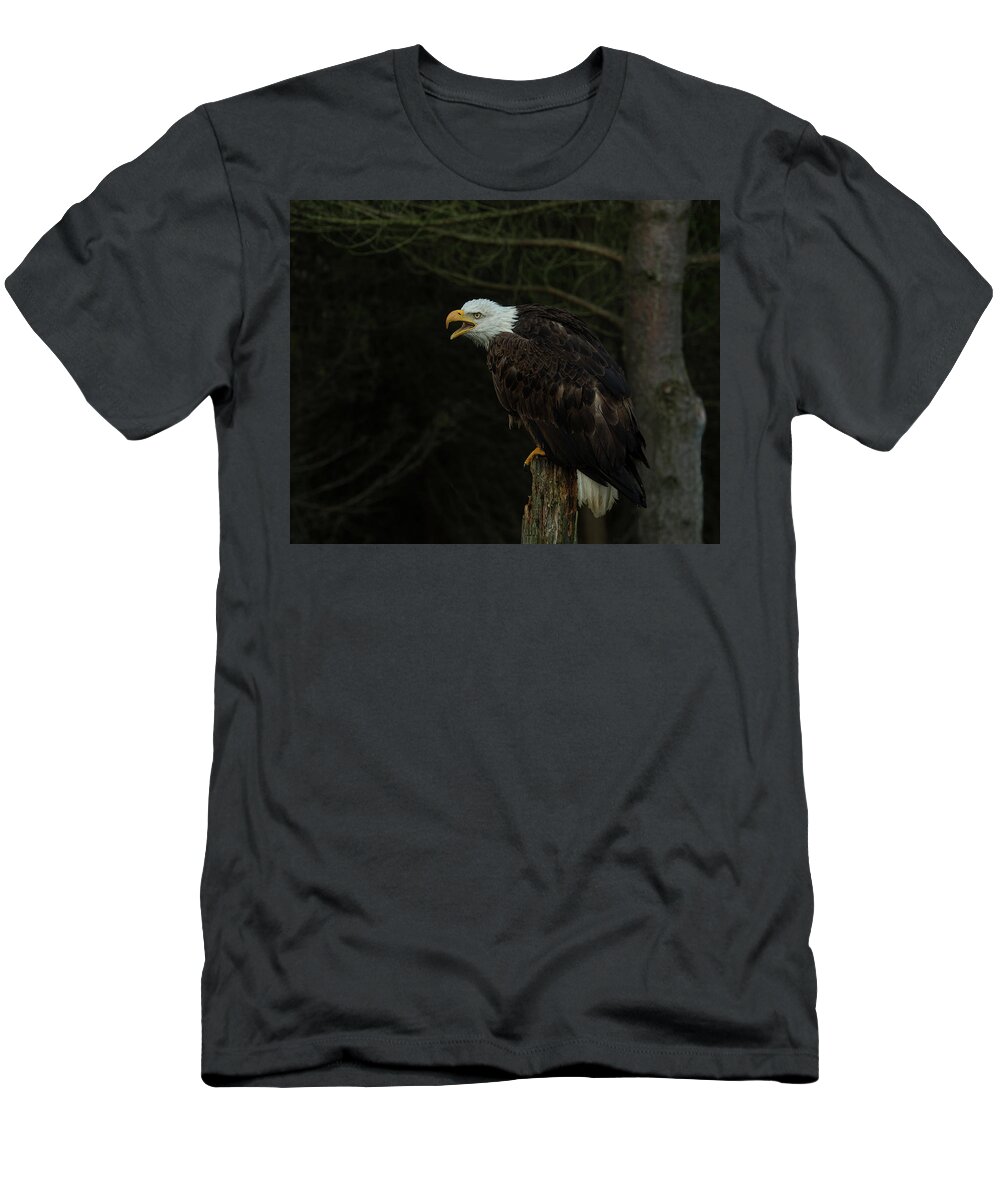 Perched T-Shirt featuring the photograph Perched Bald Eagle by CR Courson