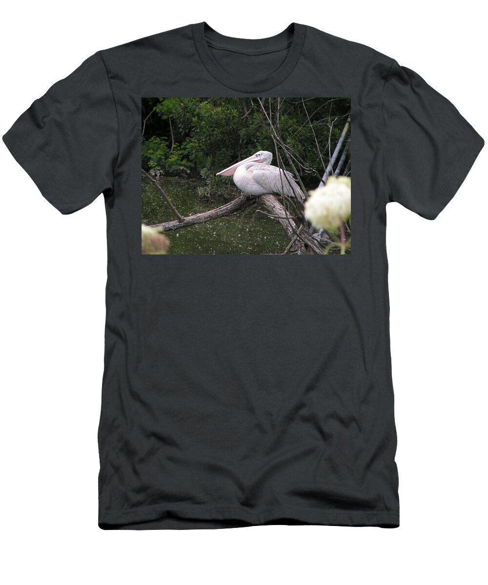 Pelican T-Shirt featuring the photograph Perched by Heather E Harman