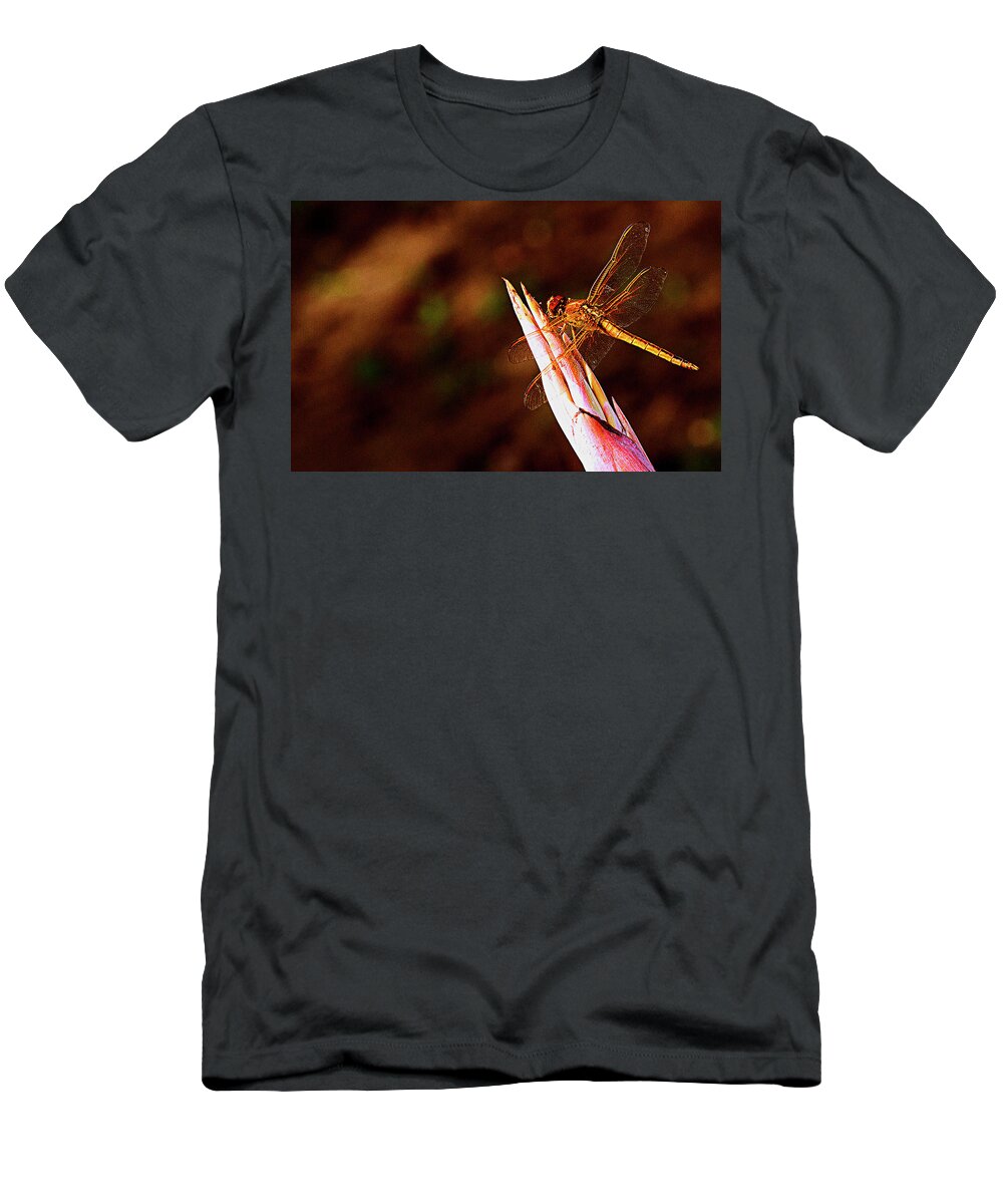Dragonfly T-Shirt featuring the photograph Perching Dragon by Bill Barber
