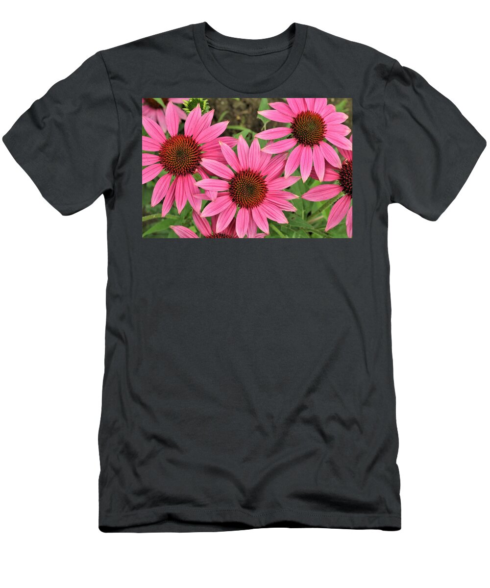 Nature T-Shirt featuring the photograph Perfectly Pink Coneflowers by Sheila Brown