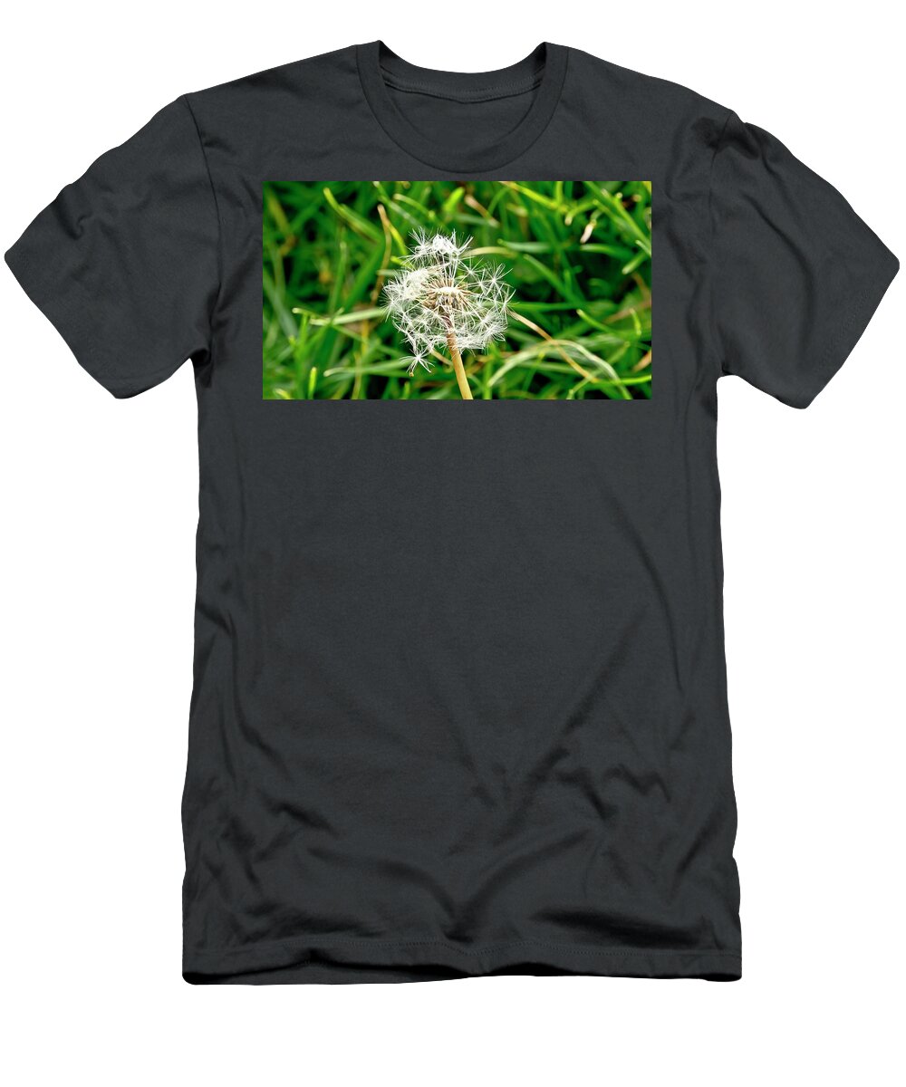 Perseverance T-Shirt featuring the photograph Perseverance of Dandelion by Elena Perelman