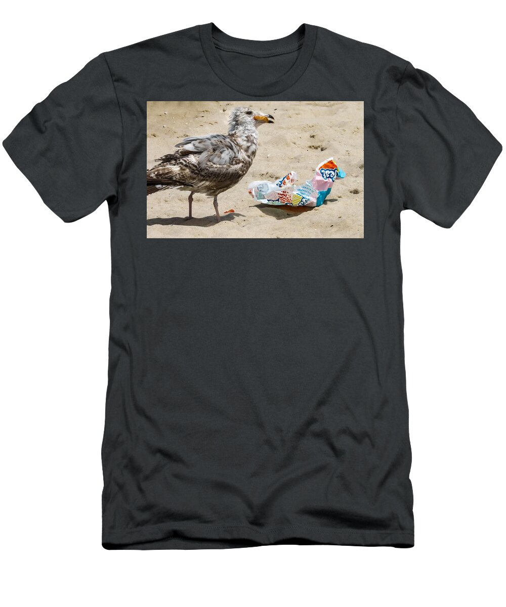 Birds T-Shirt featuring the photograph Picnic on the Beach by Linda Stern