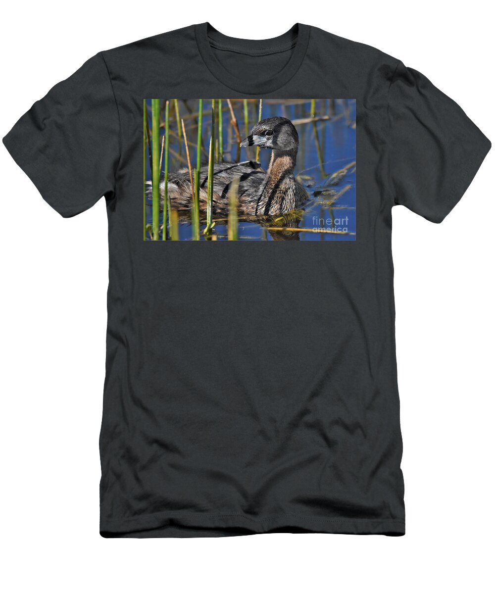 Pied Billed Grebe T-Shirt featuring the photograph Pied-billed Grebe by Julie Adair