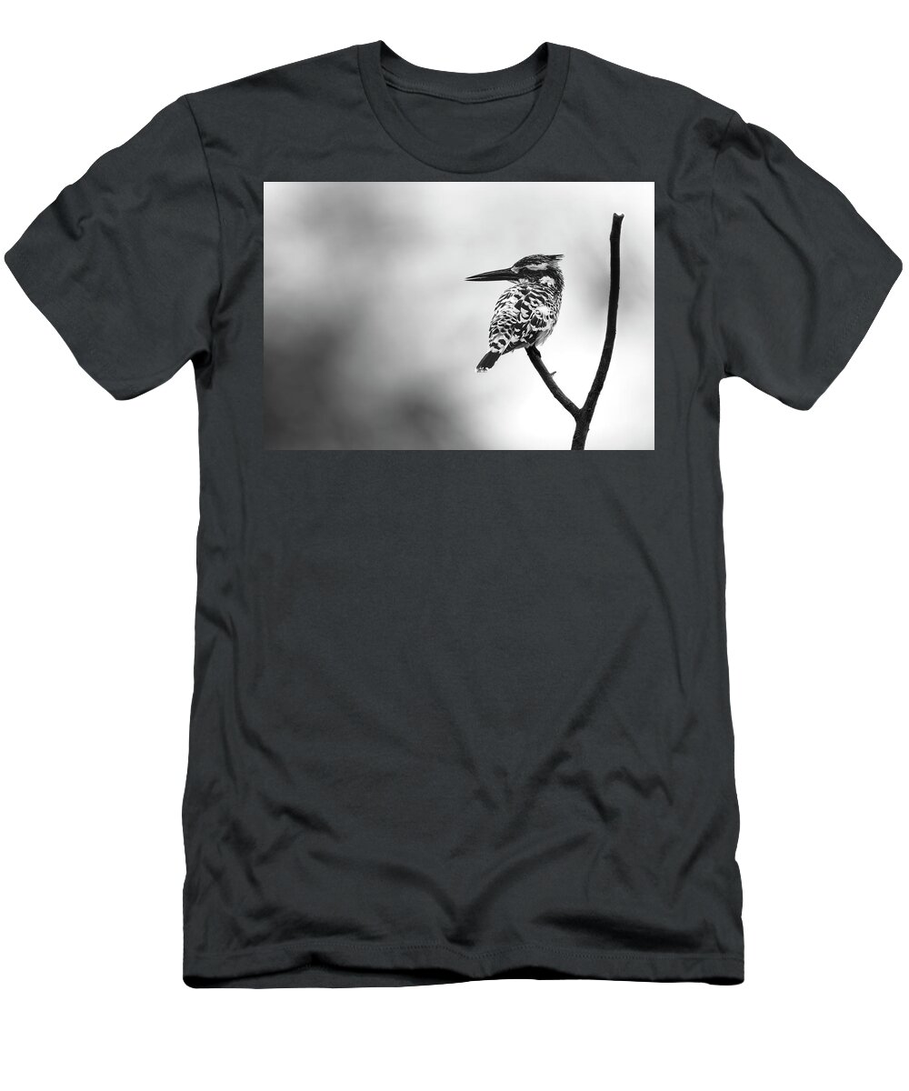 Pied Kingfisher T-Shirt featuring the photograph Pied kingfisher by Puttaswamy Ravishankar