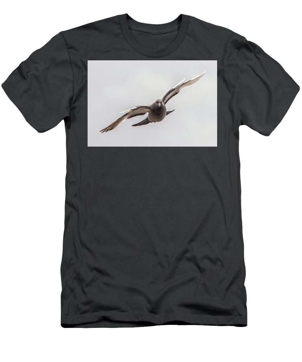 Pigeon In Flight T-Shirt featuring the photograph Pigeon in Flight by Bob Decker