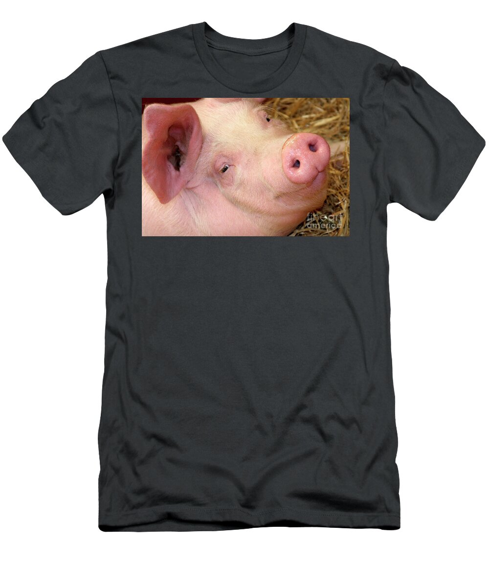Smile Pig Cleaver Thoughtful Impersonation Face Eyes Ear Piglet Looking Up Portrait Pink Eye Contact Delicate Posing Elegant Elegance Handsome Figure Character Expressive Charming Singular Beautiful Stylish Striking Solo Solitary Lonely Loner Pretty Delightful Enjoying Funny Weird Eccentric Grotesque Bizarre Peculiar Acquaintance Appearance Meet Talk Gentle Animal Piggy Attractive Joy Lifestyle Mysterious Creative Imaginary Smiling Inviting Loving Impression Listening Expression Understanding T-Shirt featuring the photograph smiling PIGLET inviting to interaction with lovely face expression and huge ear by Tatiana Bogracheva