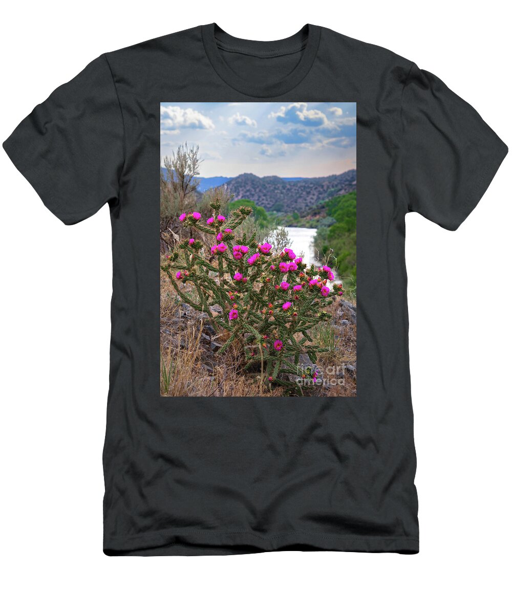 Taos T-Shirt featuring the photograph Pilar Cactus 1 by Elijah Rael