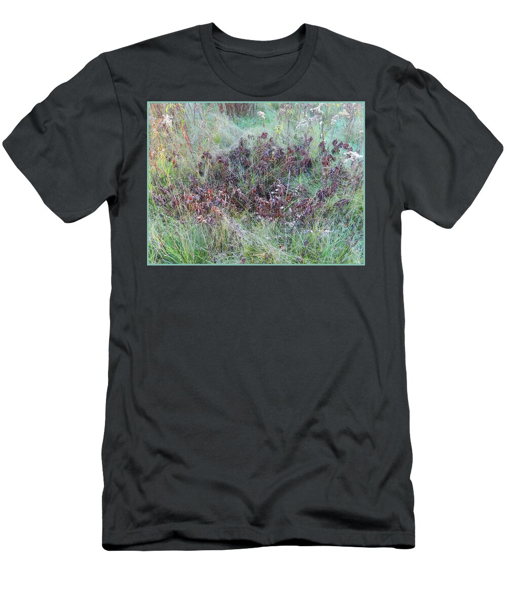 Meadow T-Shirt featuring the photograph Pile of Oak Leaves on the Emerald Green Grass by Lise Winne